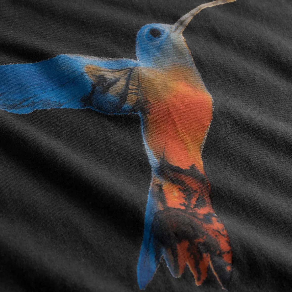 Outlet T-shirt Visby Painted Hummingbird Charcoal Women T-shirts